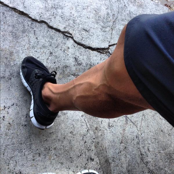 leg-workout-musculauion